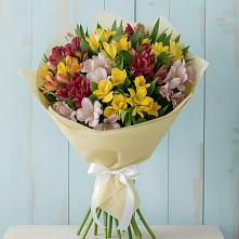 Букет цветов из:  Альстромерии в Кировский Приморского края