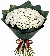 Букет цветов из:  Хризантемы в Кировский Приморского края