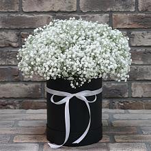 Цветочная композиция из Гипсофила в шляпной коробке #REPLACE_PRED# Кировский Приморского края