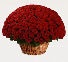 Премиум букет из: Розы в Кировский Приморского края