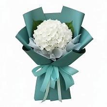 Букет цветов из:  Гортензия в Кировский Приморского края